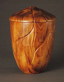 Acorn